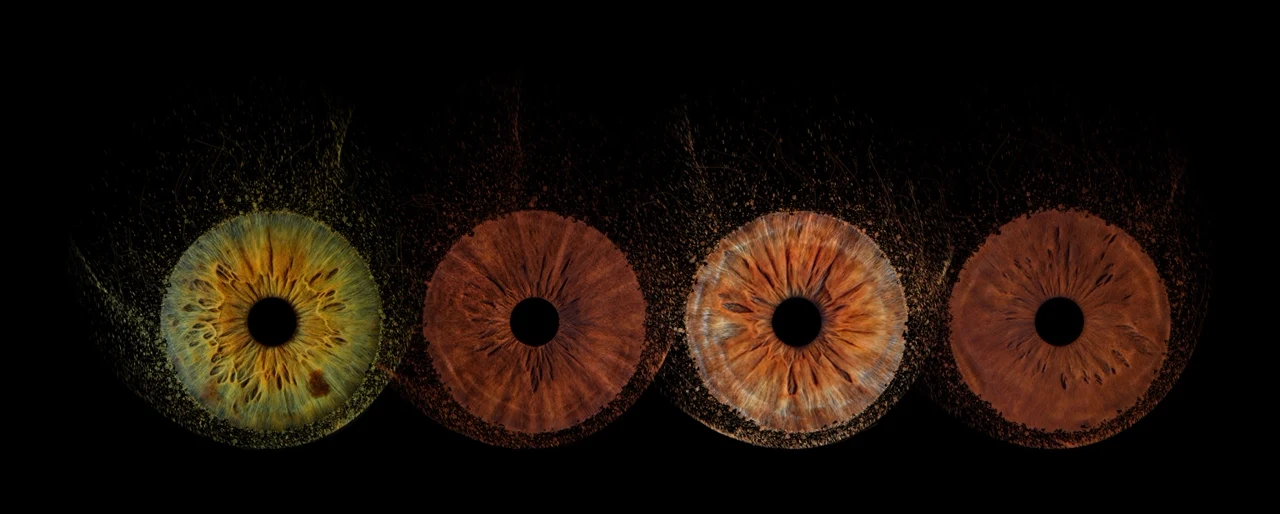 Cuatro iris distintos en línea horizontal con polvo