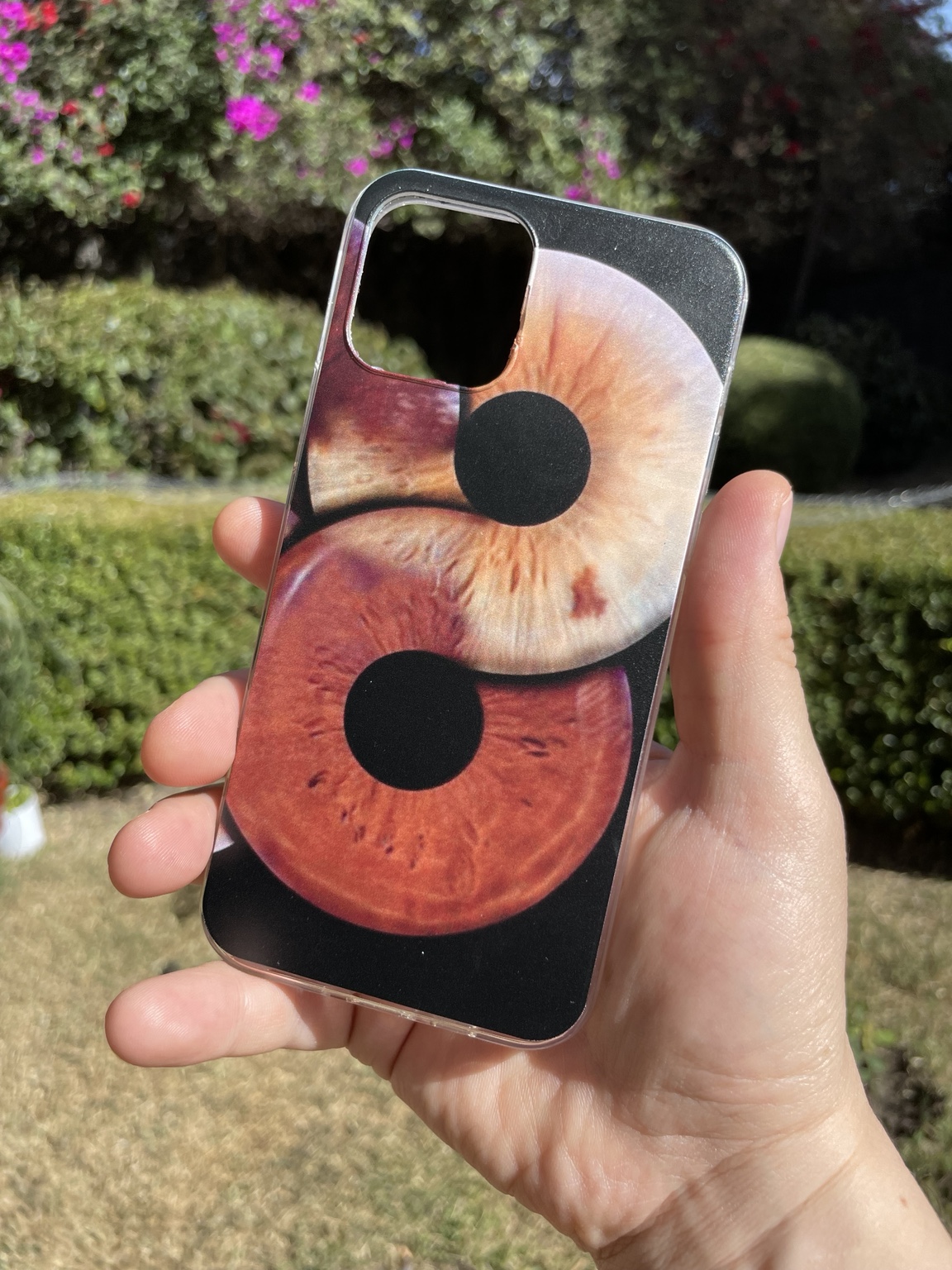 Carcasa con dos iris